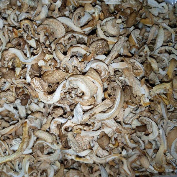 Premium Dried Oyster Mushroom - শুকনো মাশরুম - Image 3