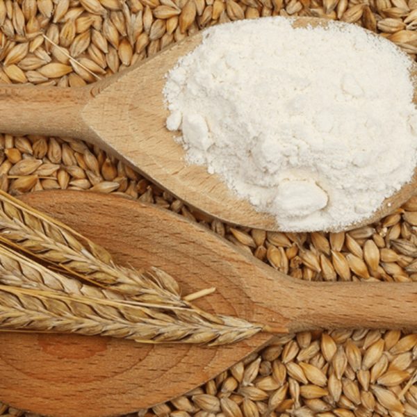 Homemade Barley Flour - যবের ছাতু - Image 2