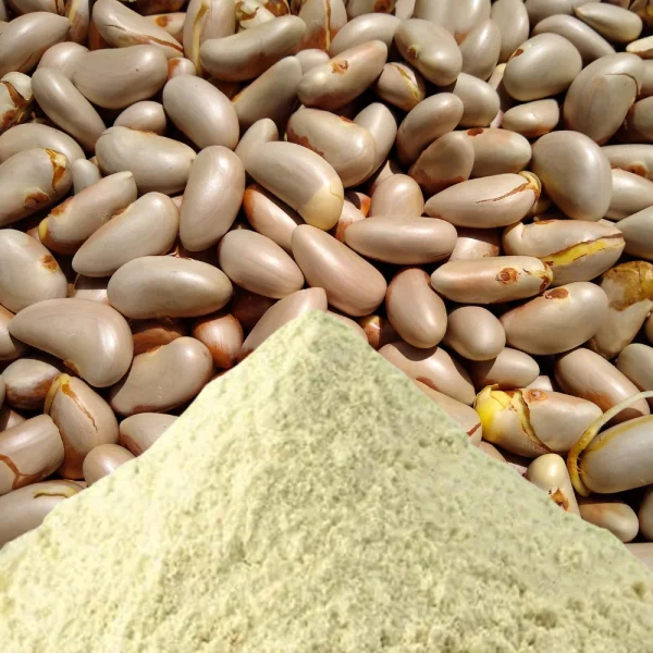 Jackfruit Seed Powder - কাঁঠাল বিচি পাউডার - Image 3