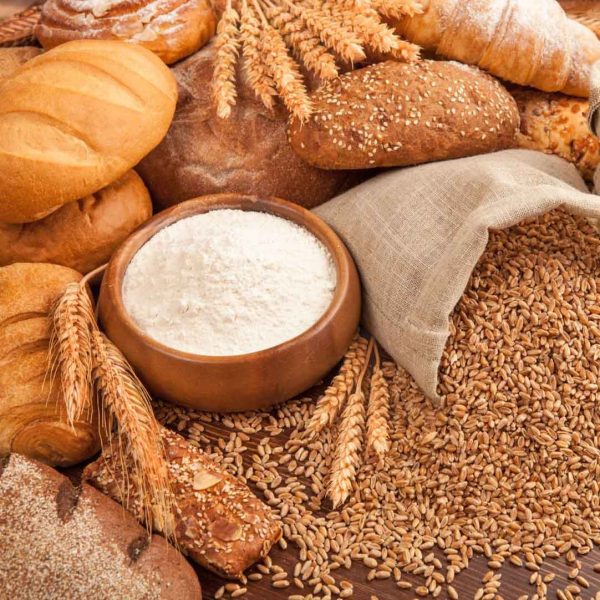 Homemade Barley Flour - যবের ছাতু - Image 3